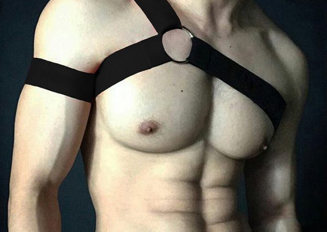 Body and Soul: Harnesses That Embrace Your Wild Side